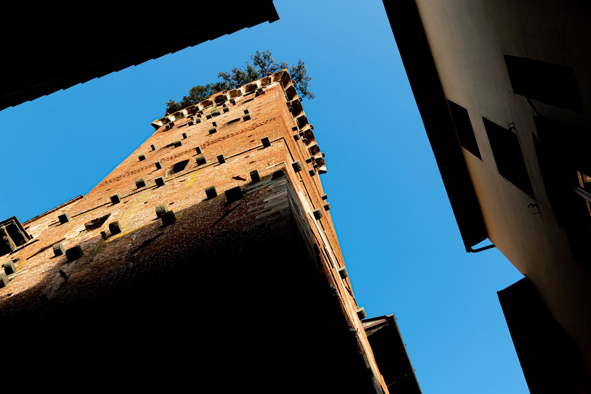 Torre Guinigi