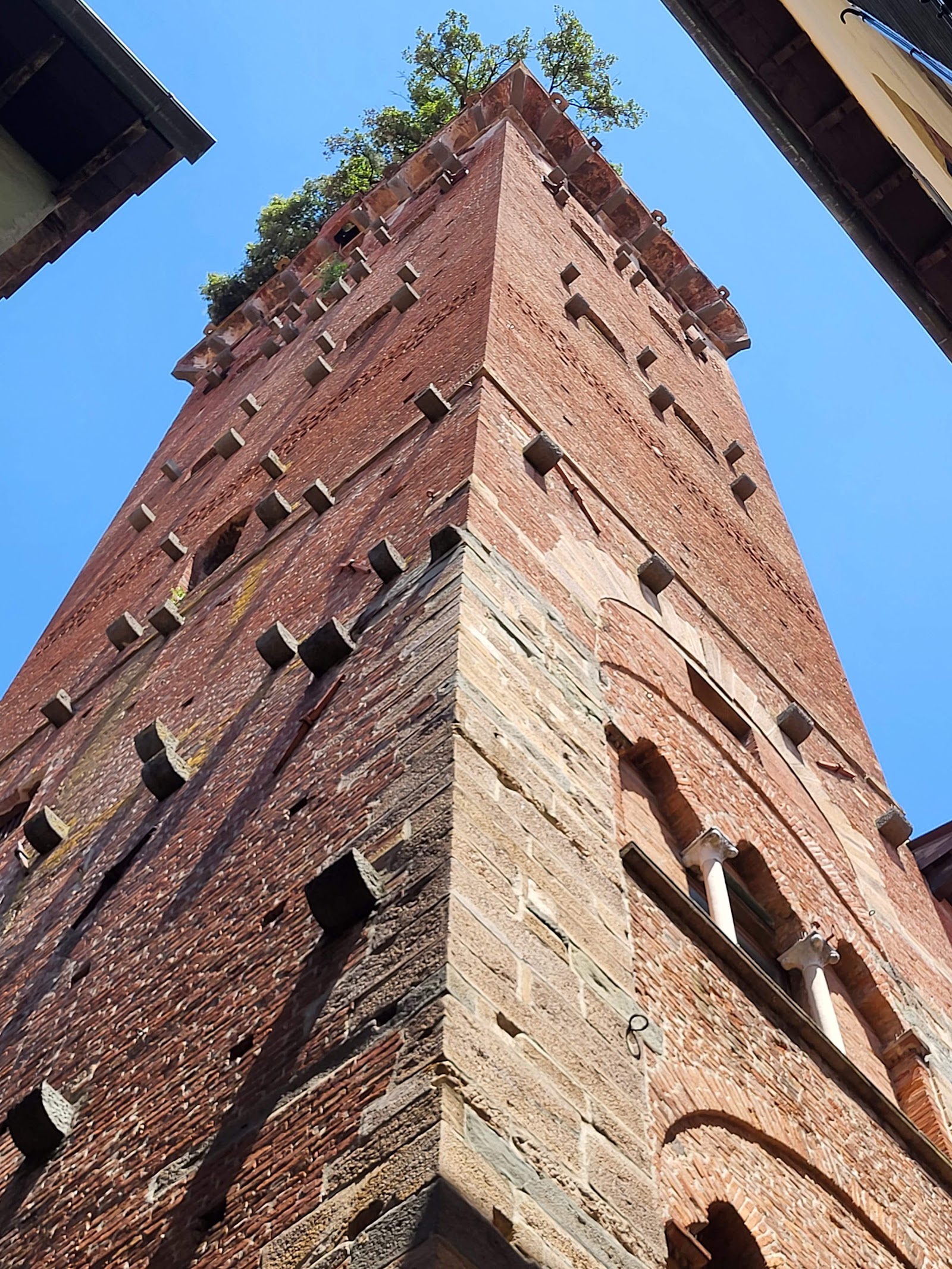 Torre Guinigi