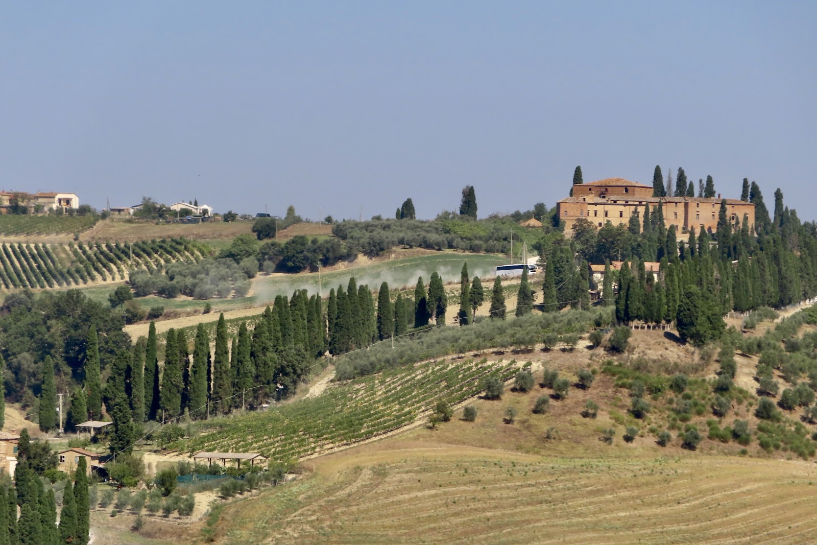 Torrenieri