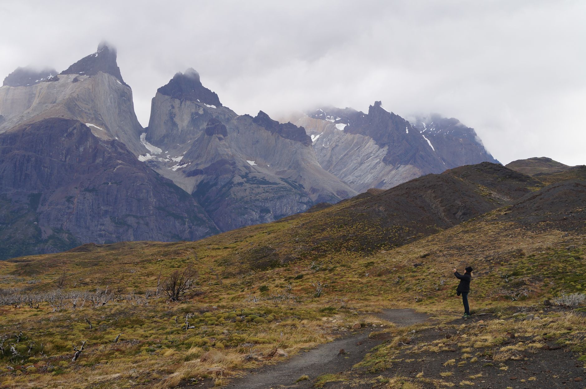 Torres del Paine