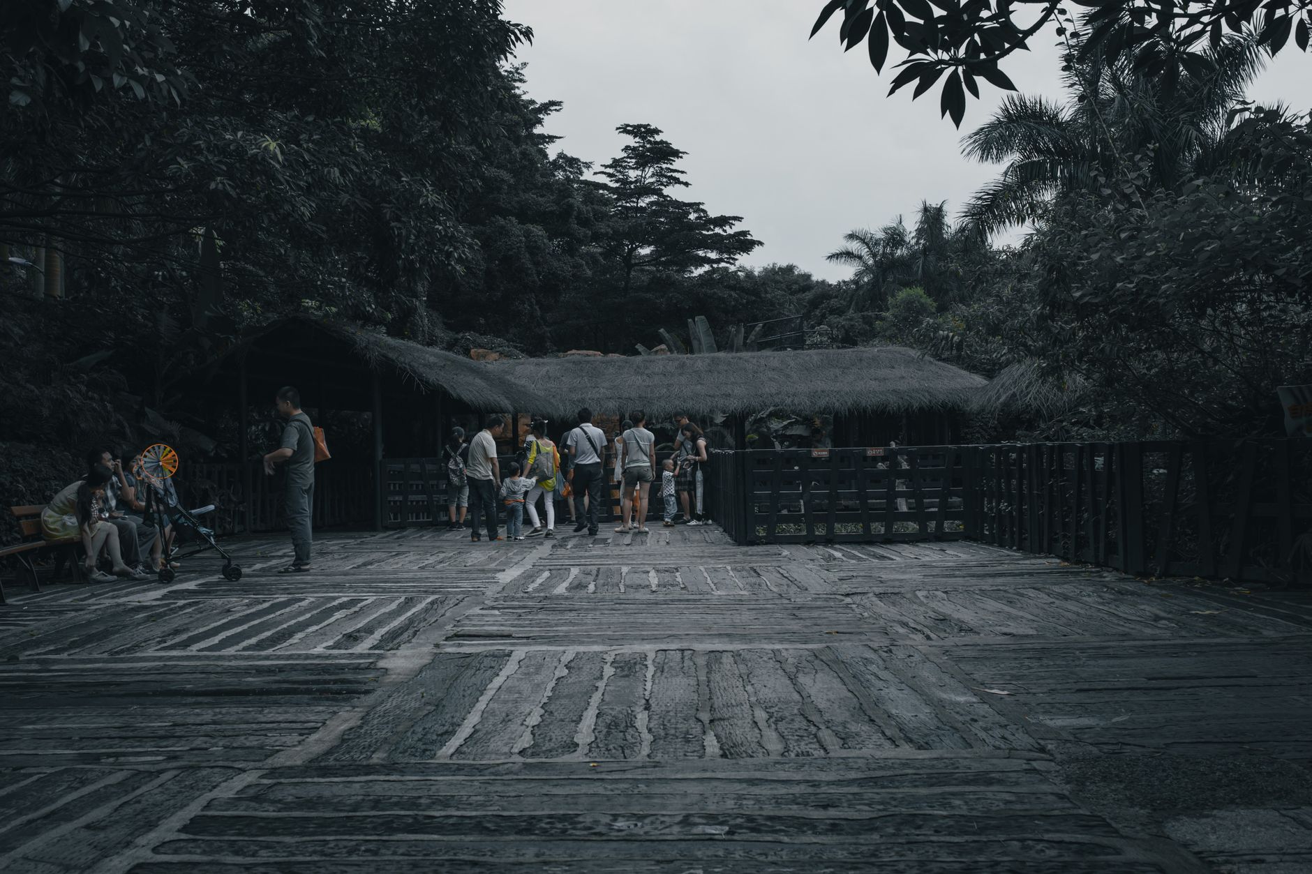 Tortuguero National Park