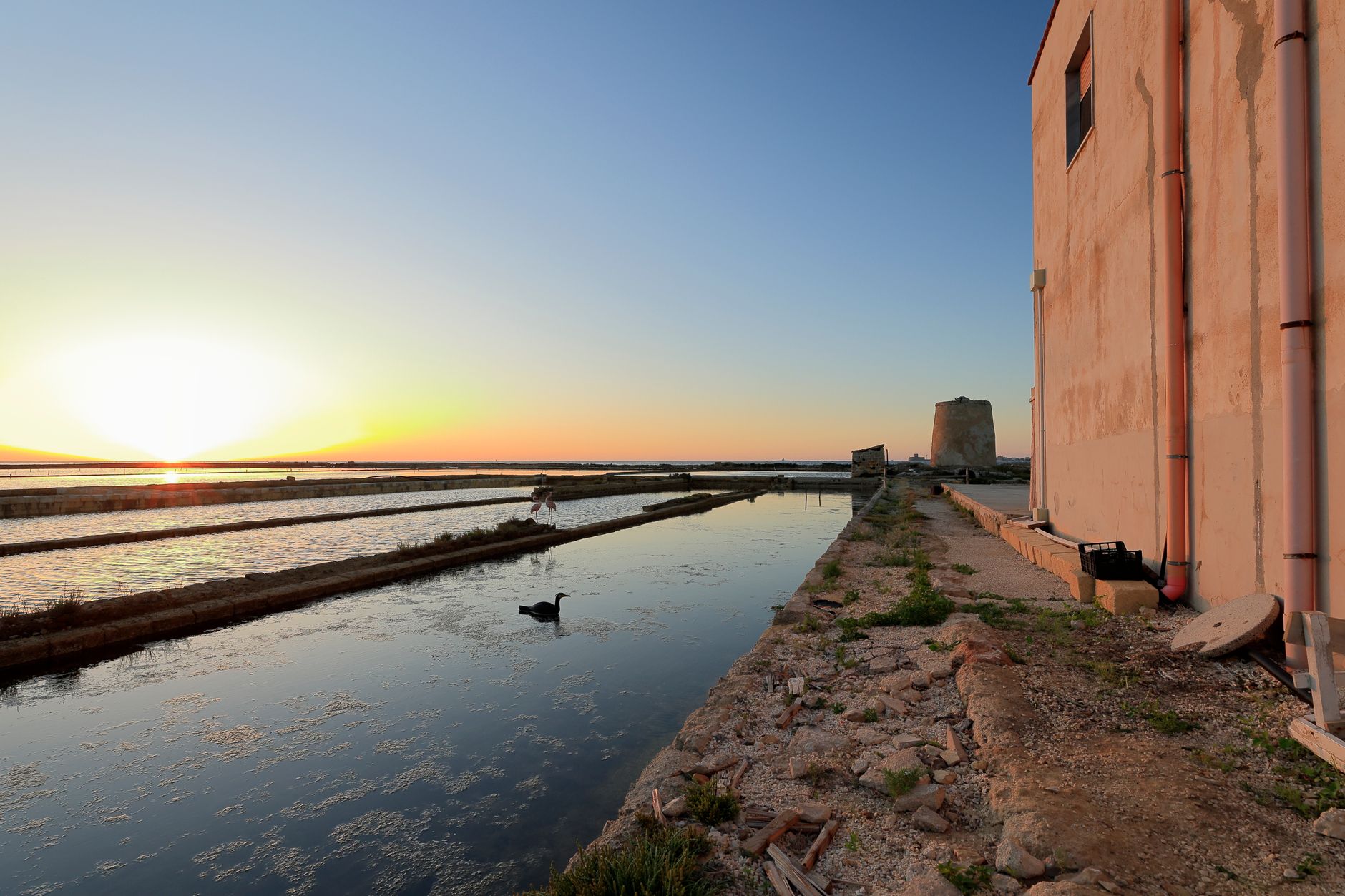 Trapani