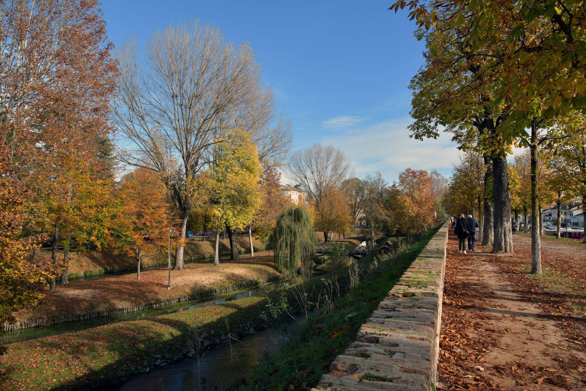 Treviso