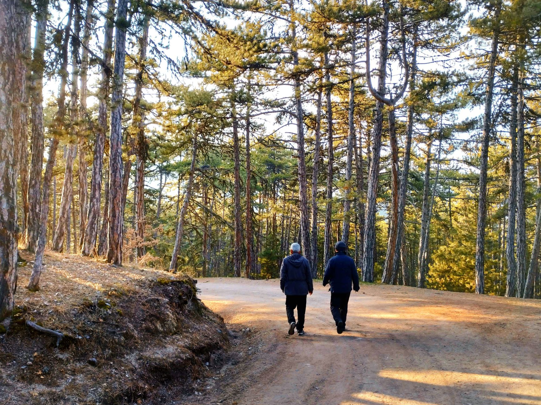 Troodos Mountains
