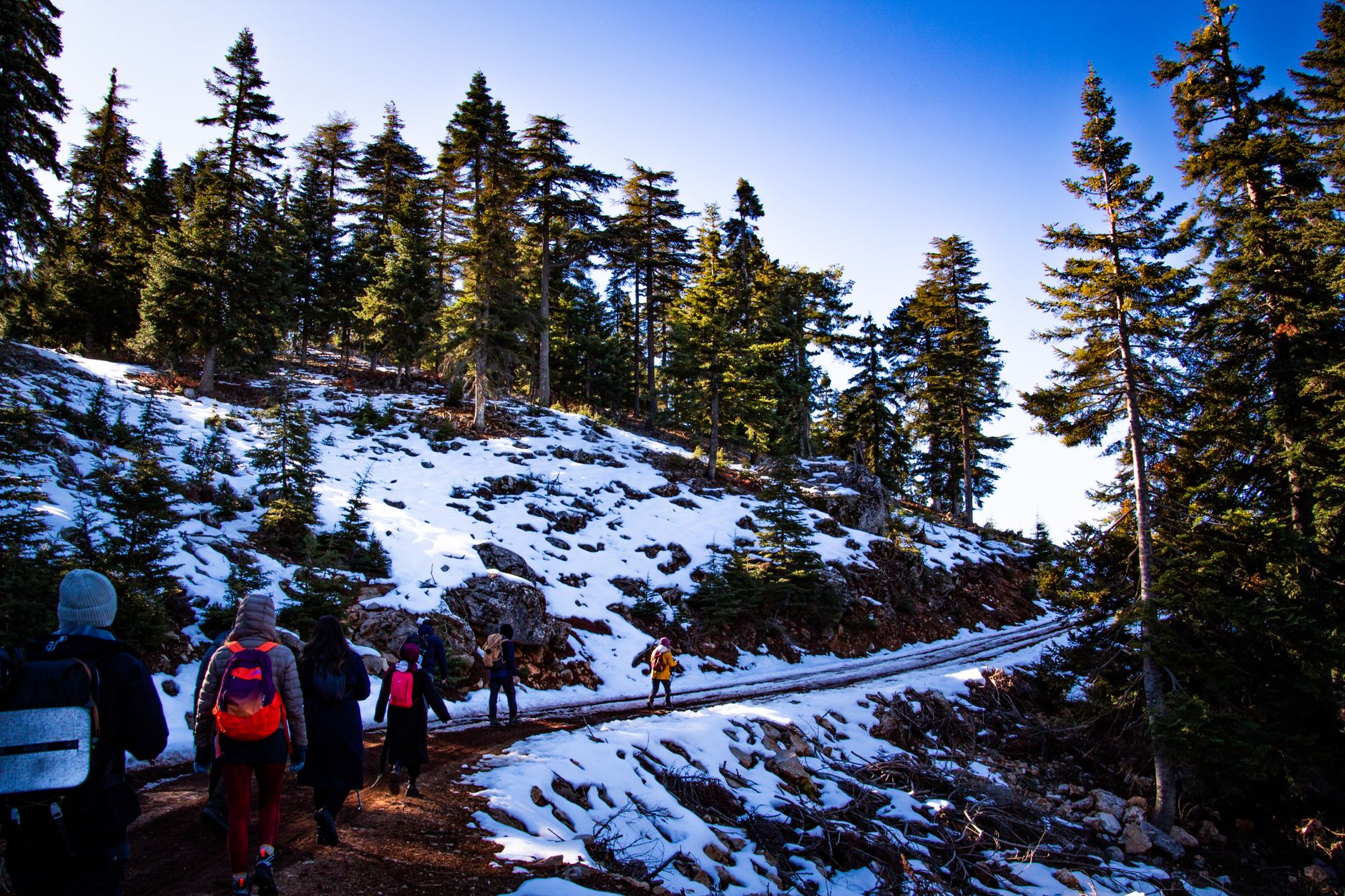 Troodos Mountains