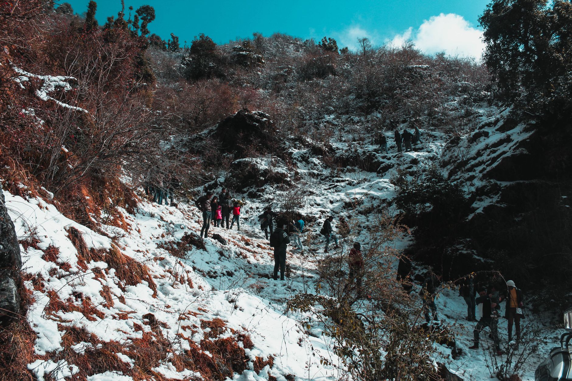 Tuli Block