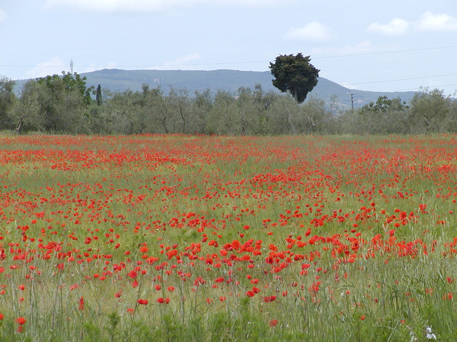 Tuscany