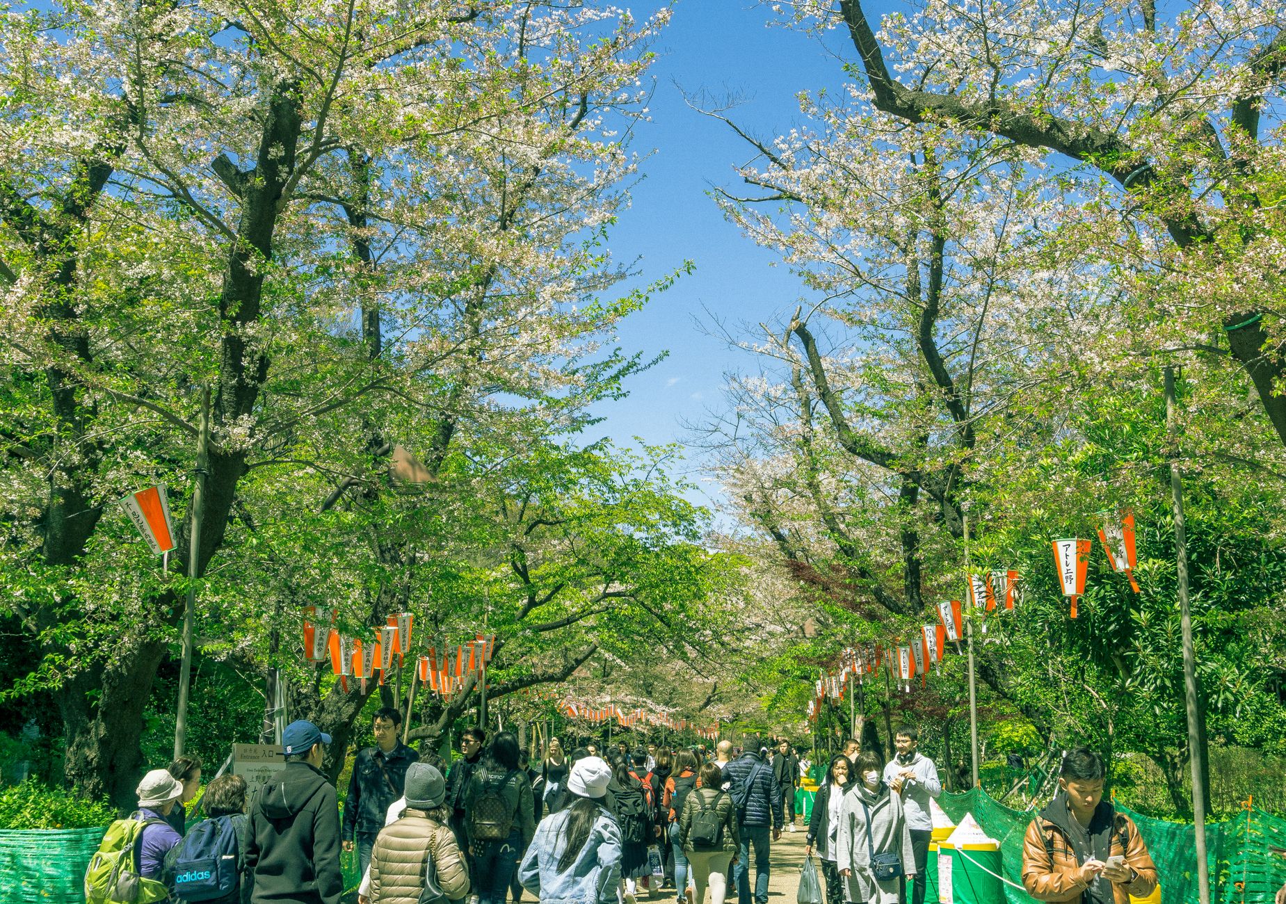 Ueno