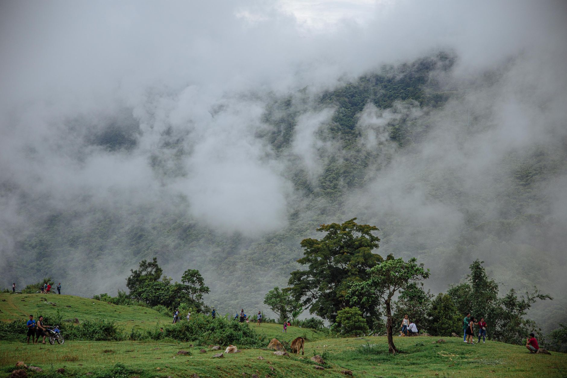 Viñales Valley
