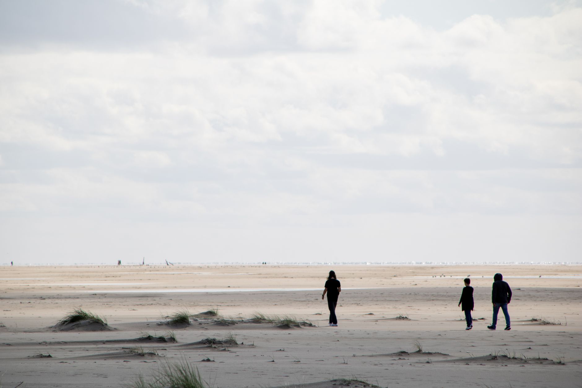 Wadden Sea