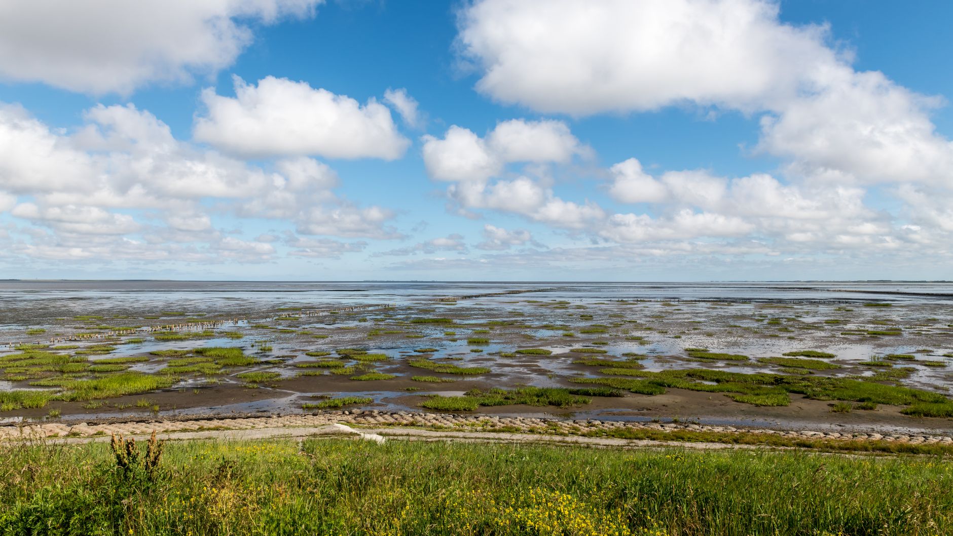 Wadden Sea