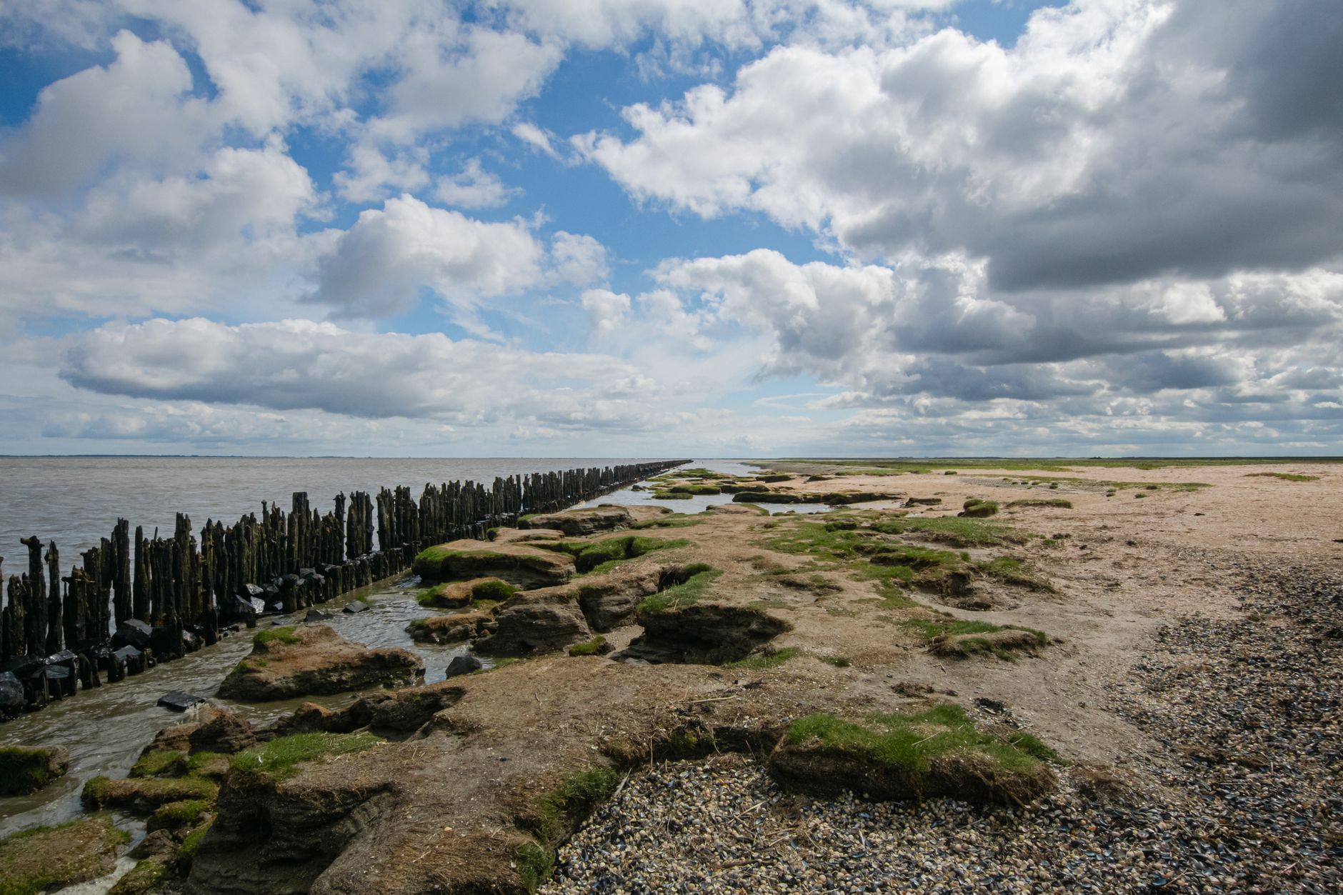 Wadden Sea