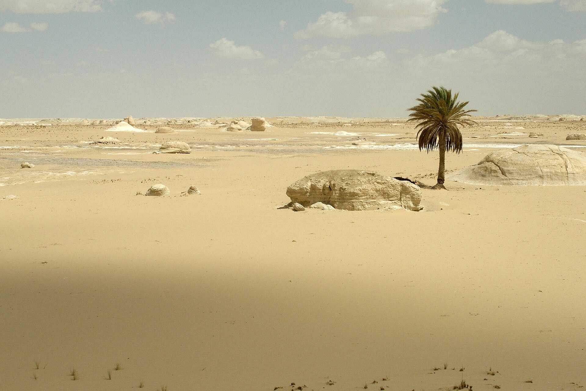 White Desert