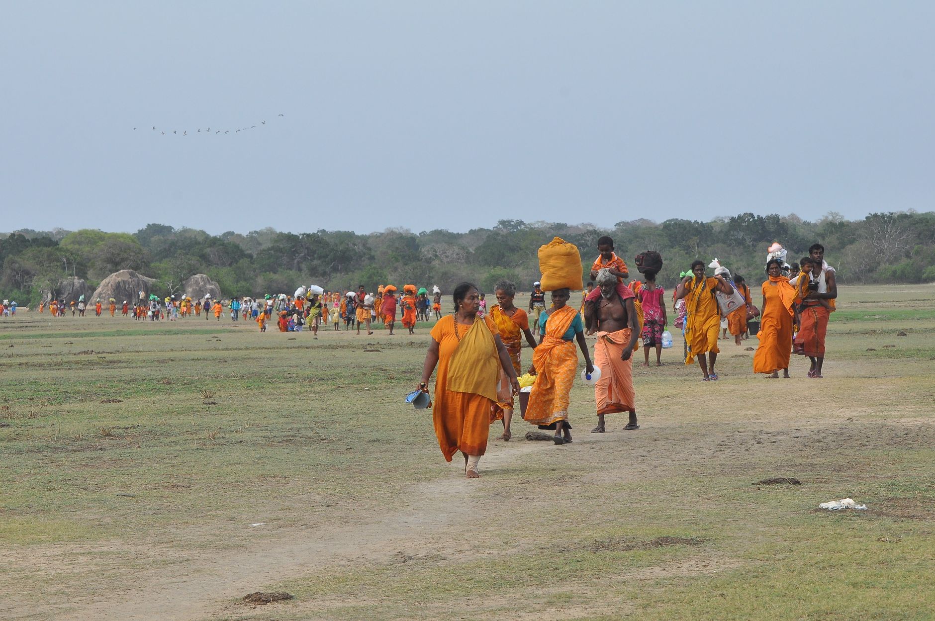 Yala National Park
