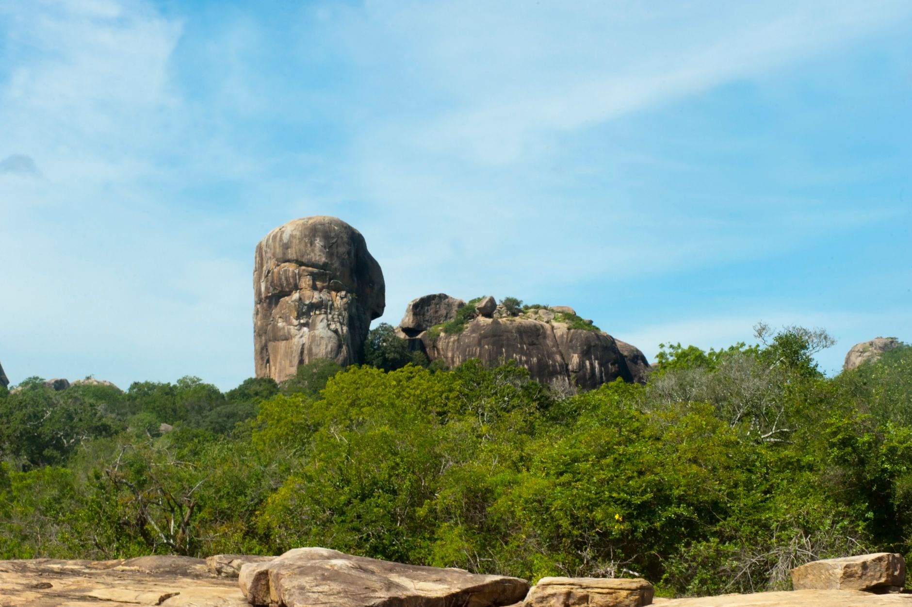 Yala National Park