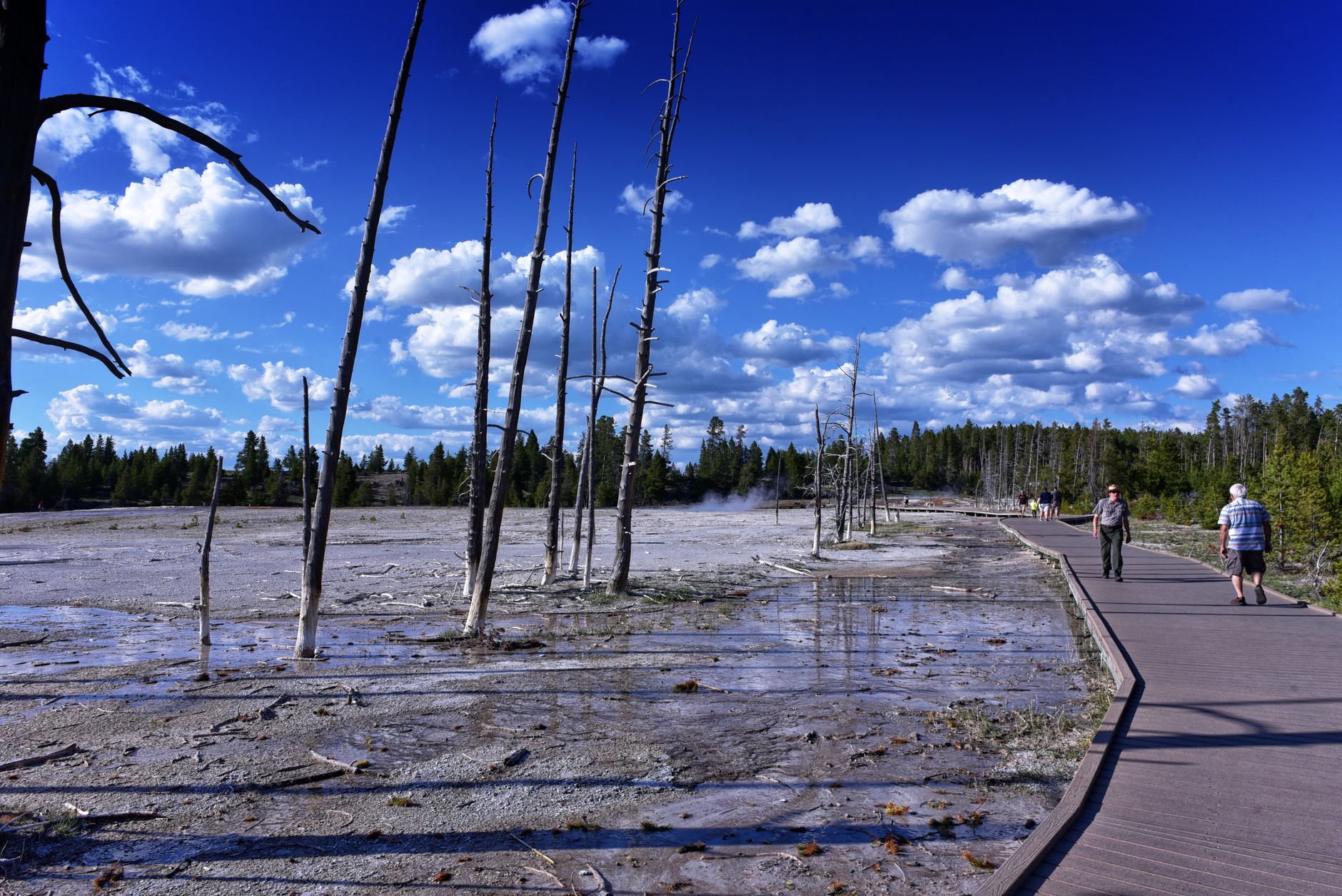 Yellowstone National Park, USA