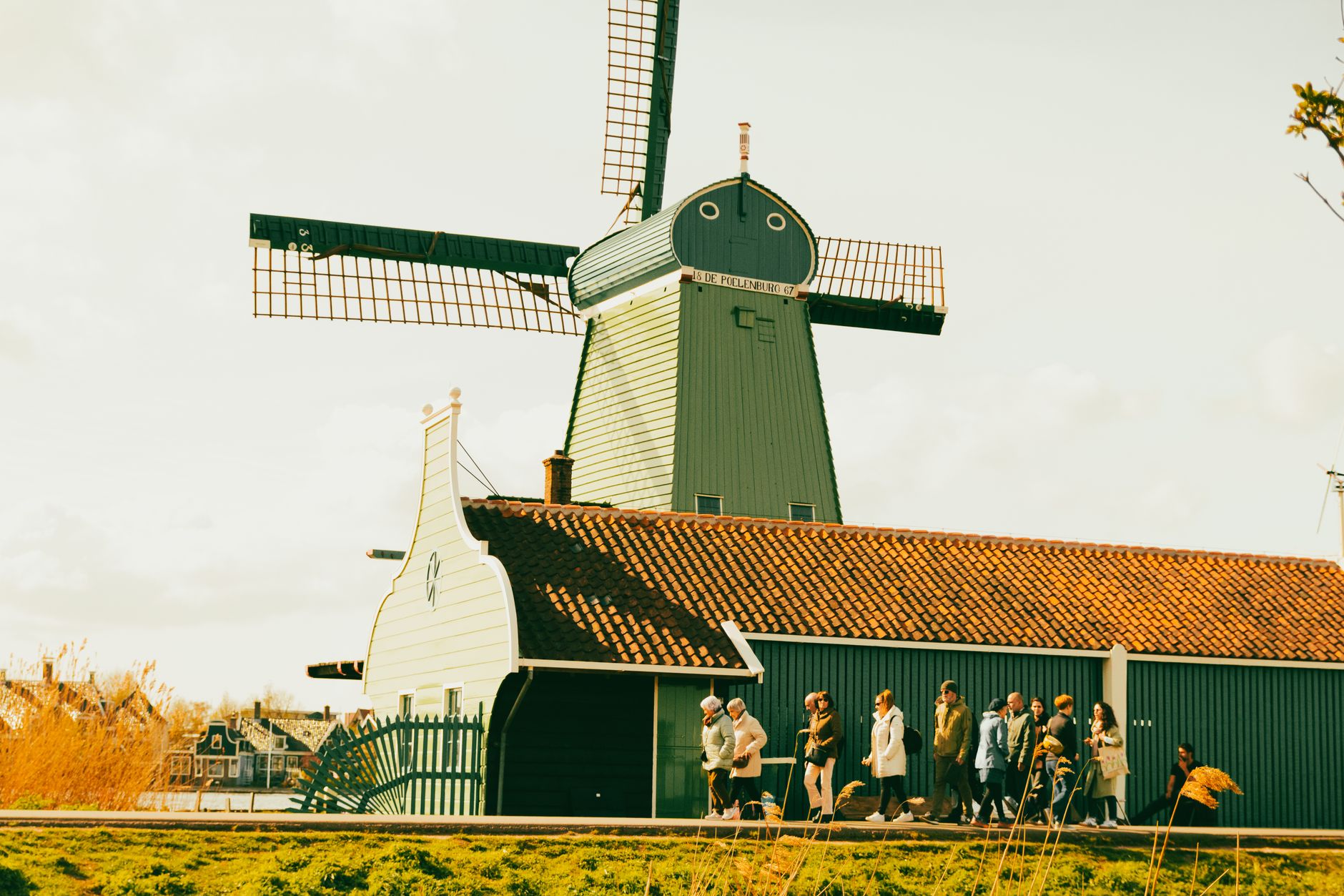 Zaandam
