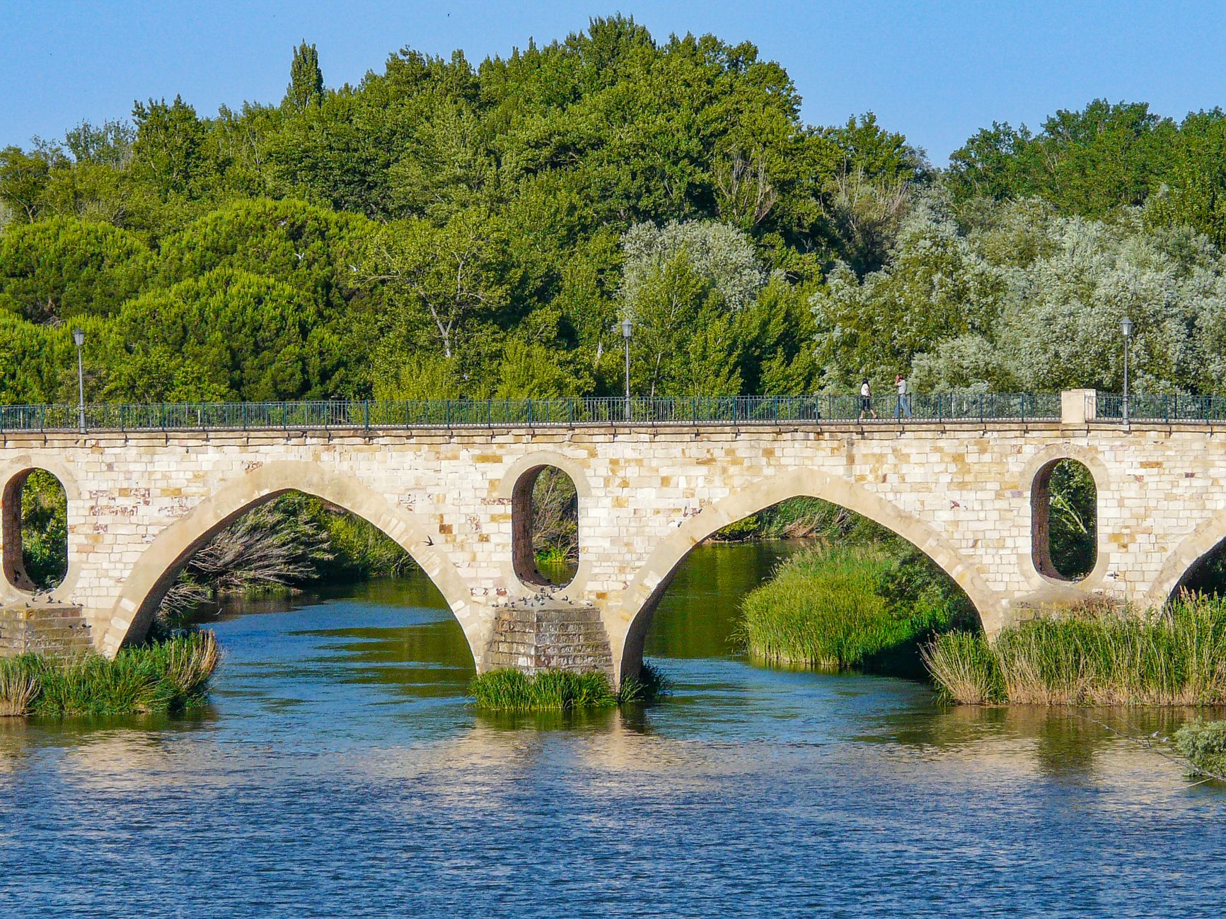 Zamora