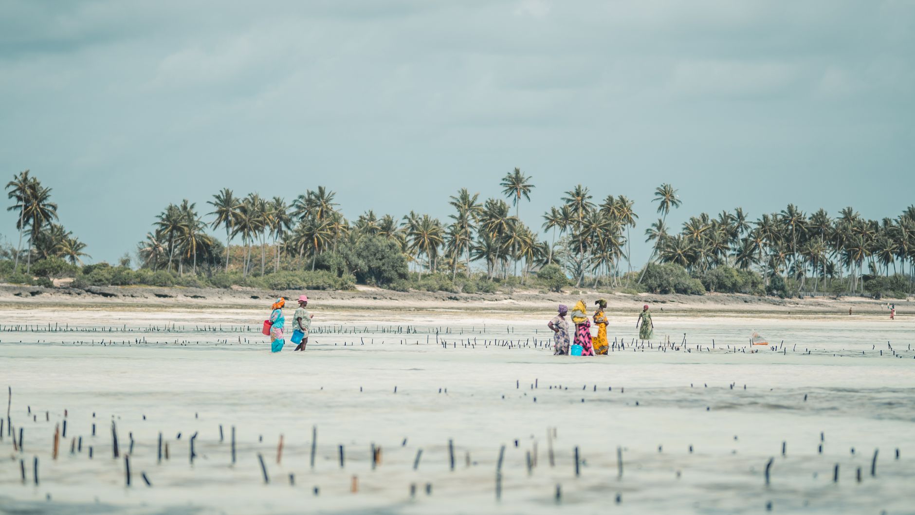 Zanzibar City