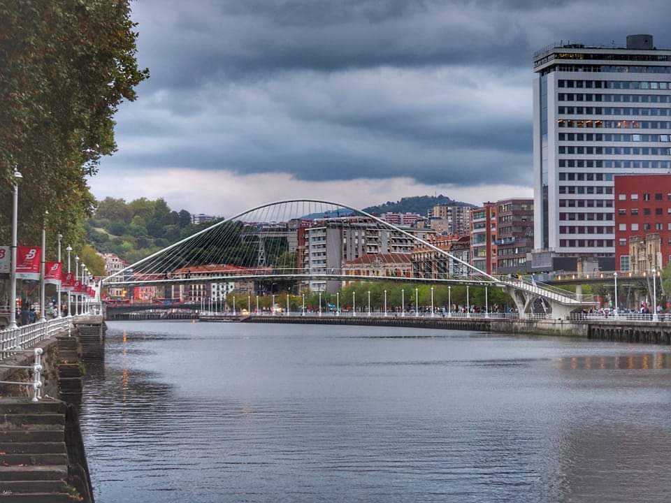 Zubizuri Bridge