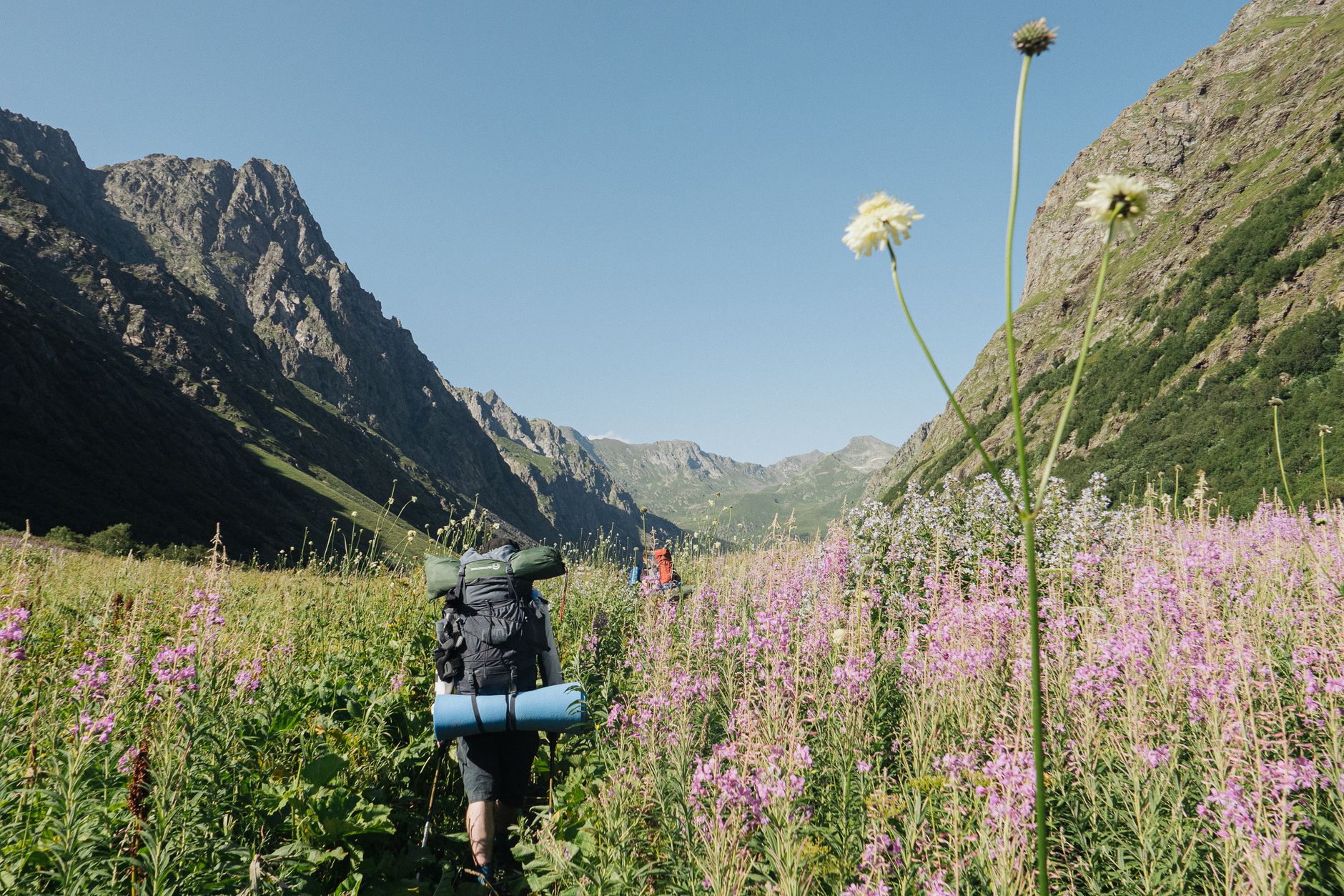 Budget & backpacking